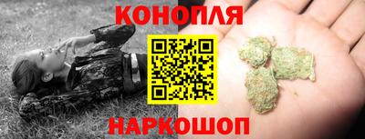 гашик Ногинск